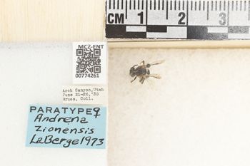 Media type: image;   Entomology 774261 Aspect: Labels